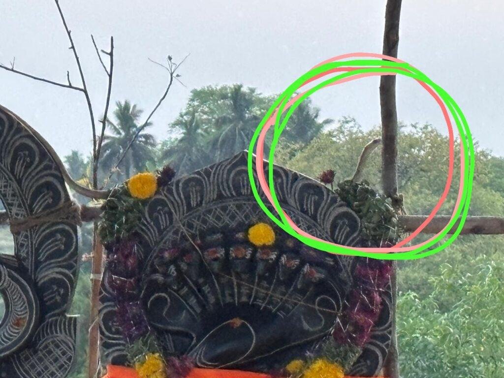 నూతనంగా ప్రతిష్ఠ అయిన నాగులరాళ్లు పై 3వ రోజు నాగుపాము ప్రత్యక్షం
