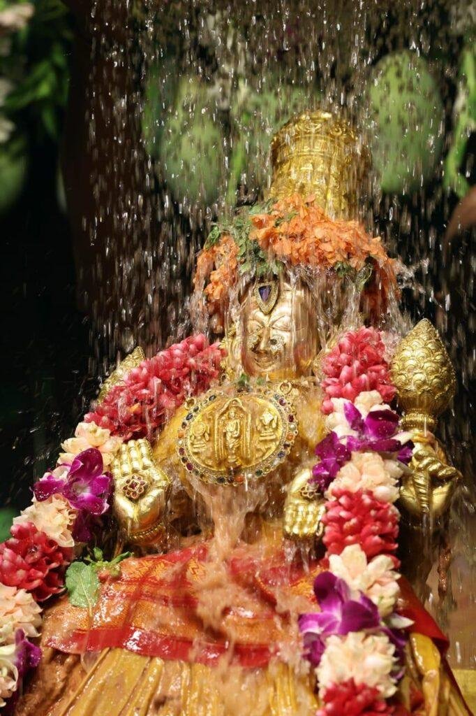 వైభవంగా ప్రారంభమైన శ్రీ పద్మావతి అమ్మవారి వసంతోత్సవాలు