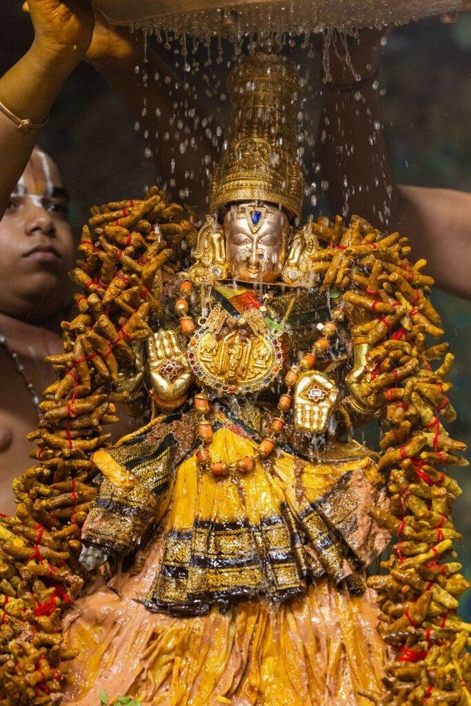 వైభవంగా ముగిసిన శ్రీ పద్మావతి అమ్మవారి వసంతోత్సవాలు