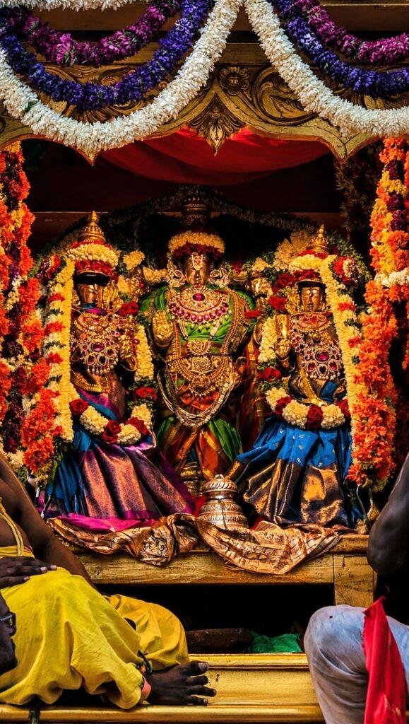 వైభవంగా శ్రీ వేదనారాయణస్వామివారి రథోత్సవం