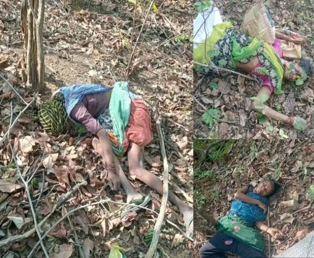 పులి దాడిలో నలుగురు మహిళలు మృతి