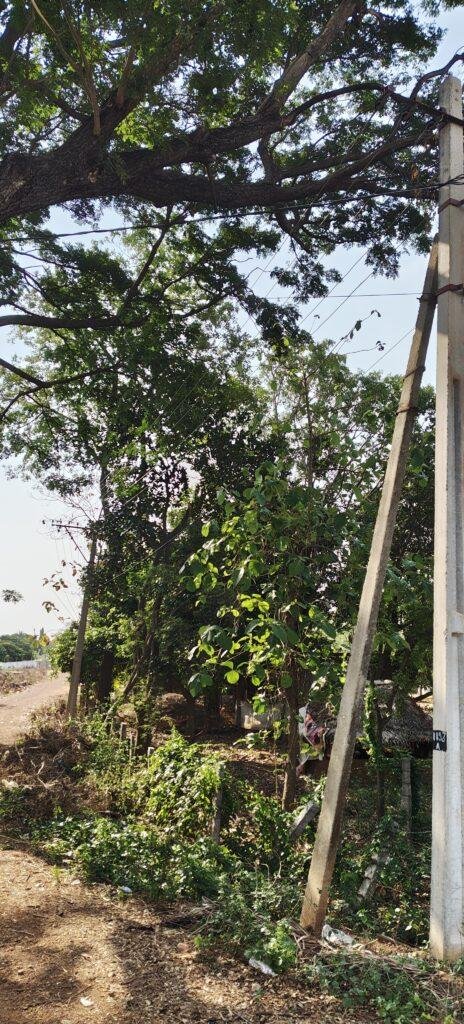 వెలగని వీధిలైట్లతో చీకట్లో పేరడం గ్రామం