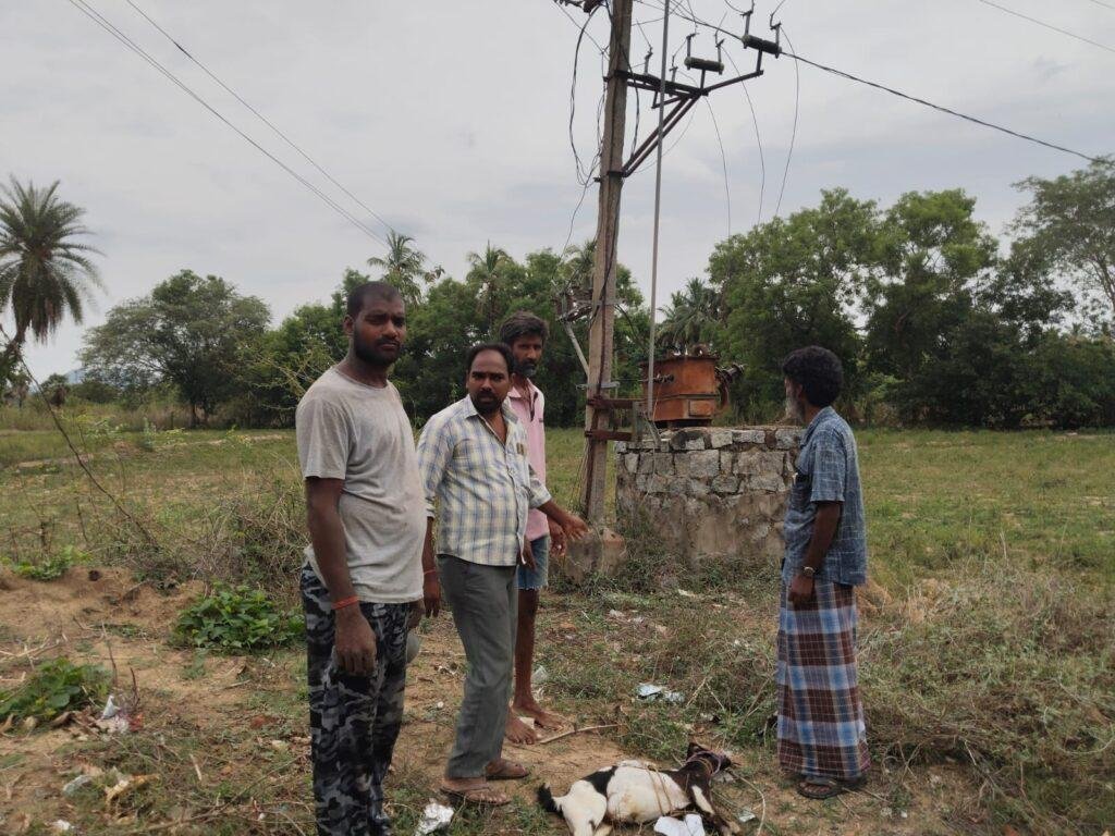 విద్యుత్తు ట్రాన్స్ఫార్మర్ వద్ద ఎర్త్ వైర్ తగిలి మేక మృతి