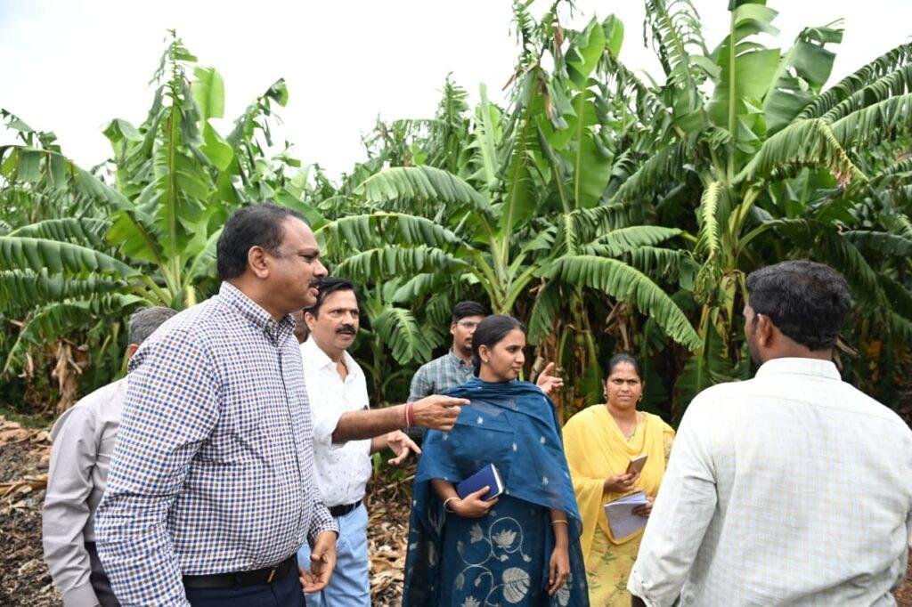 కోమన్నూతల అరటికి ప్రపంచ మార్కెట్లో మరింత గుర్తింపు తీసుకురావాలి..!