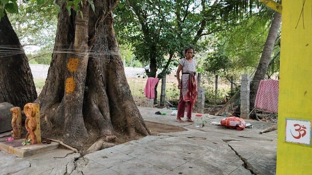 ఆ వృక్షమే..ఆమెకు ఆశ్రయం…