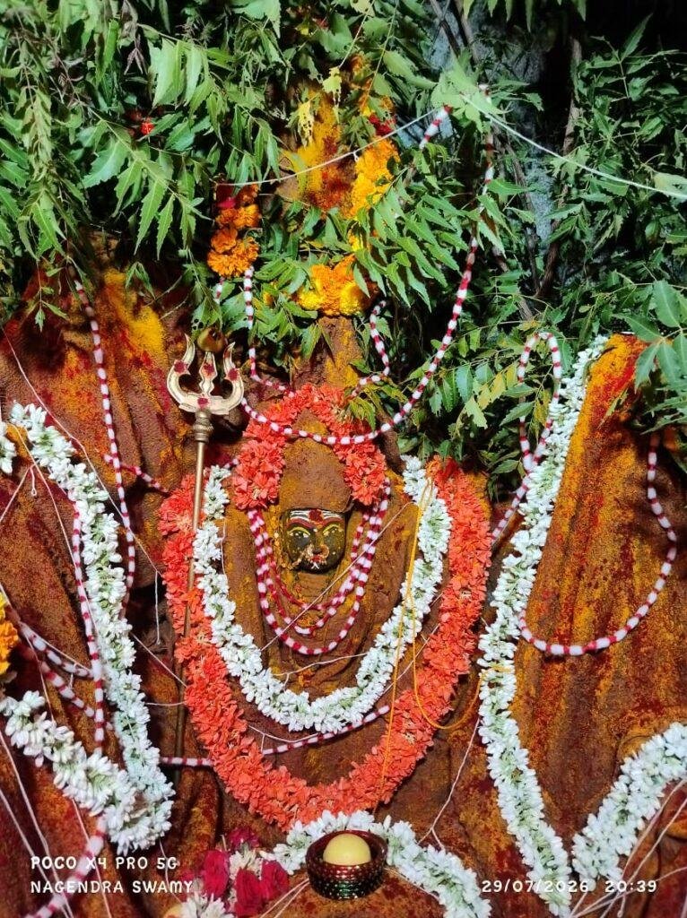 నాగలమ్మ అలంకారంలో శ్రీ సల్లపురెమ్మ తల్లి