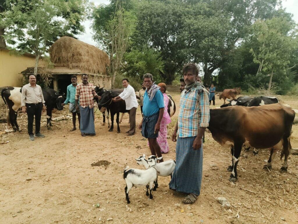 చిన్నకొండామర్రిలో లంపిస్కిన్ నివారణ టీకాల కార్యక్రమం ప్రారంభం