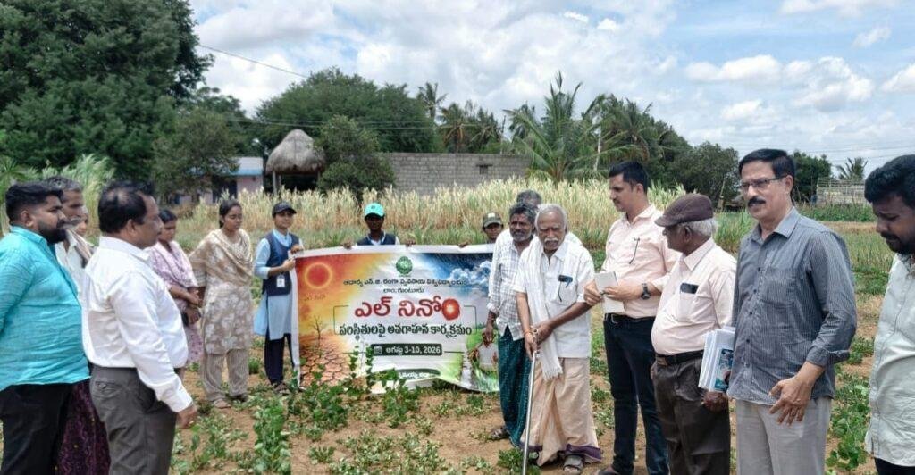 ఎండుతున్న పంటలపై మండలంలో శాస్త్రవేత్తల పర్యటన