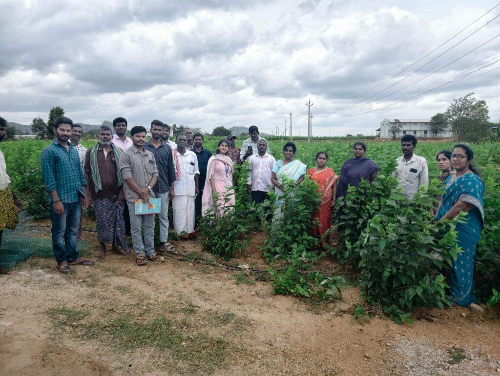 ఎల్‌నినో పై రైతులు ముందస్తు జాగ్రత్తలు పాటించండి