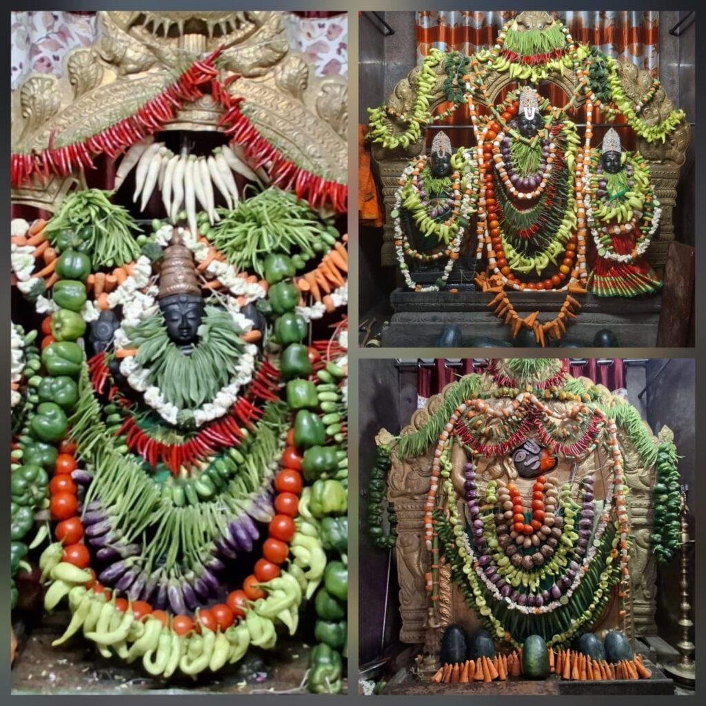 శ్రీ సంతాన వేణుగోపాల స్వామి దేవాలయంలో వైభవంగా శాకంబరీ అలంకరణ