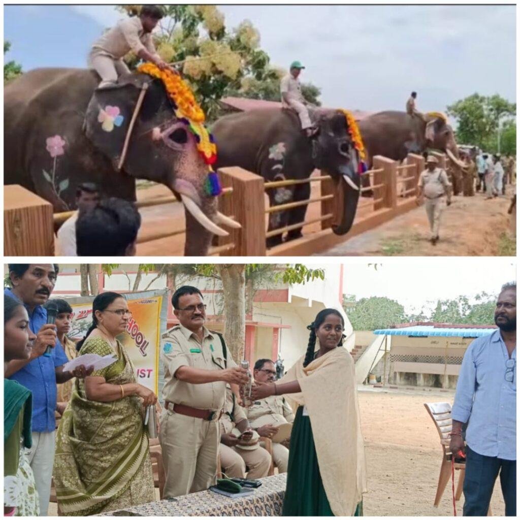ముసలిమడుగులో ఘనంగా ప్రపంచ ఏనుగుల దినోత్సవం