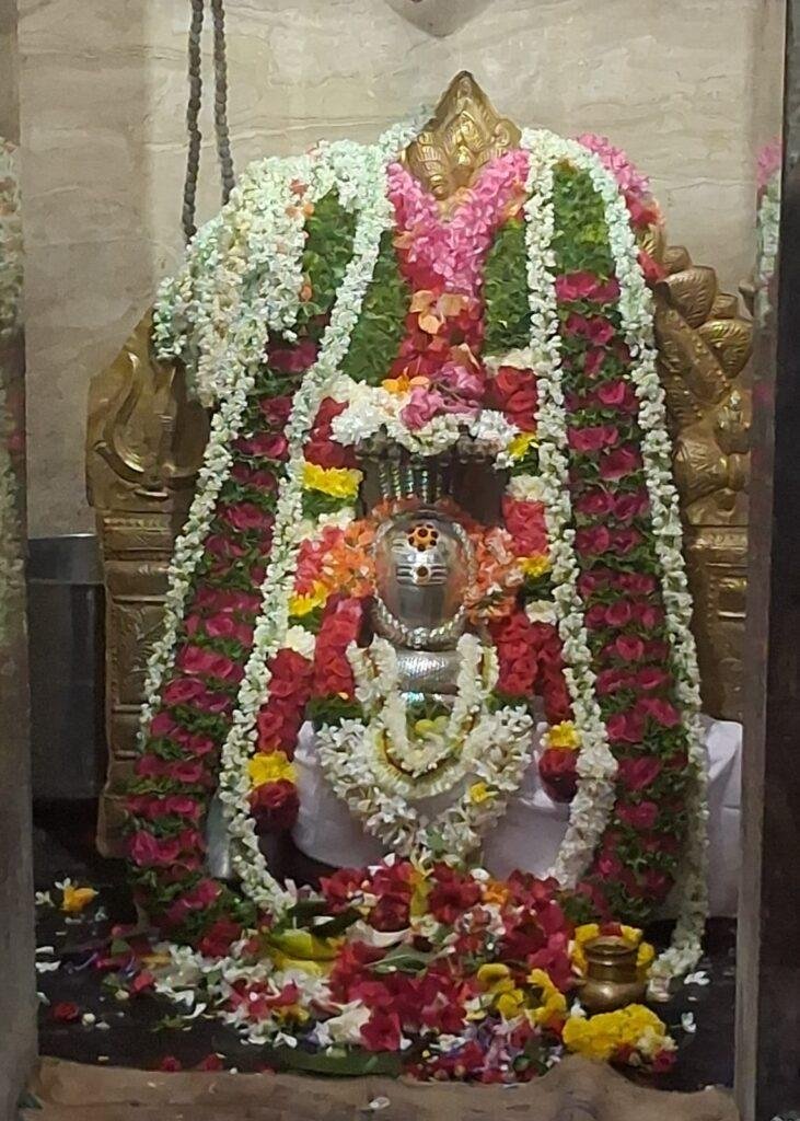 శ్రీకాశీ విశ్వేశ్వర స్వామి ఆలయంలో ప్రత్యేక పూజలు