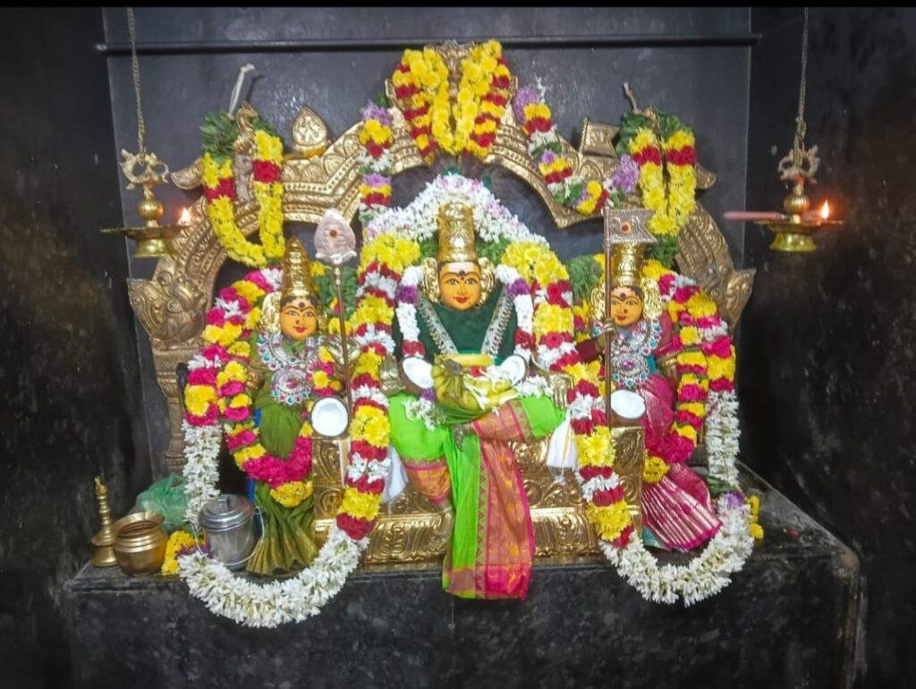 సుబ్రమణ్య స్వామి ఆలయంలో కృత్తిక పూజలు